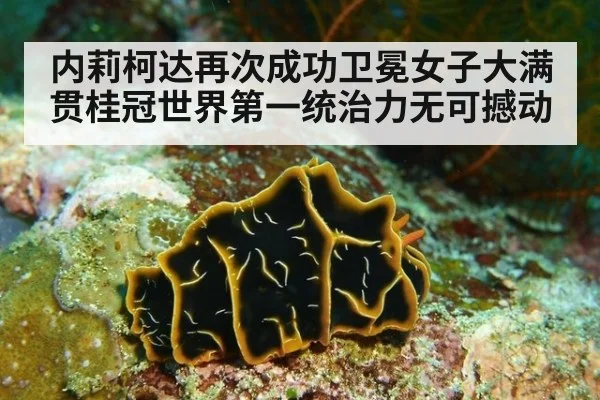 内莉柯达再次成功卫冕女子大满贯桂冠世界第一统治力无可撼动